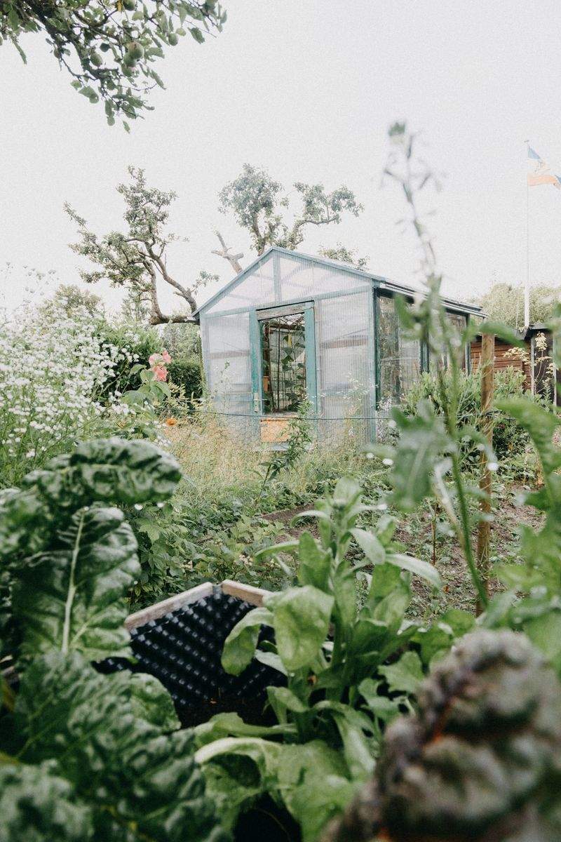 Préparer son jardin de Provence pour le printemps