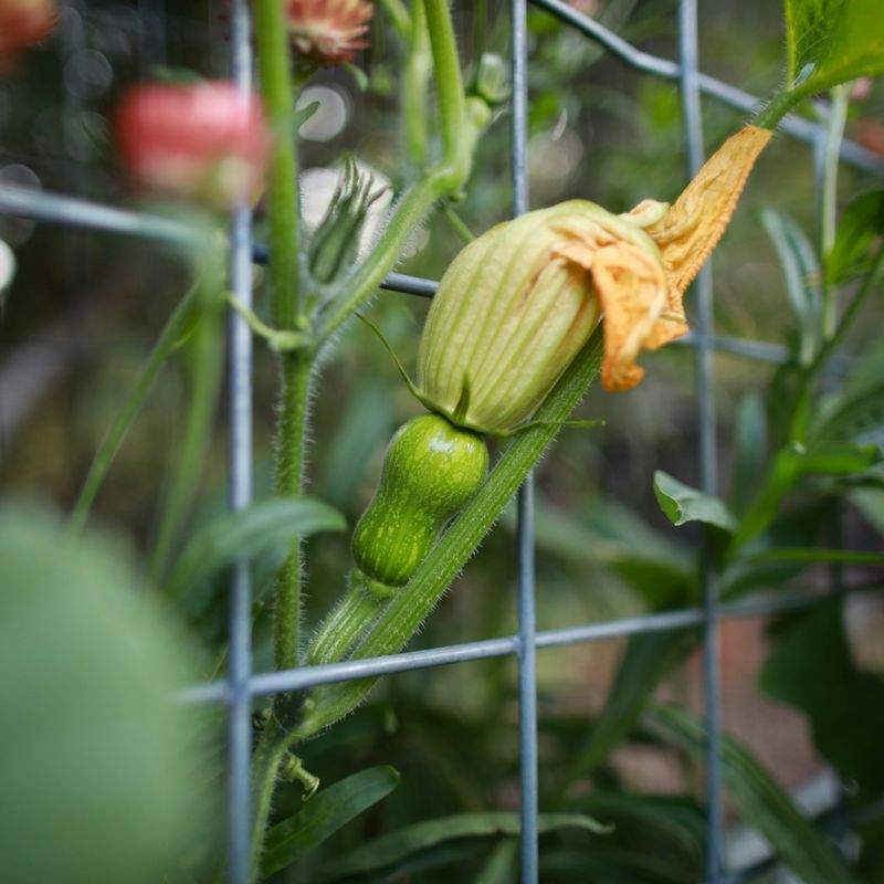 Jardins & Harmonie Provence 13